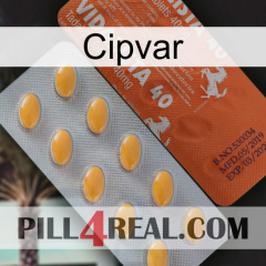 Cipvar 43